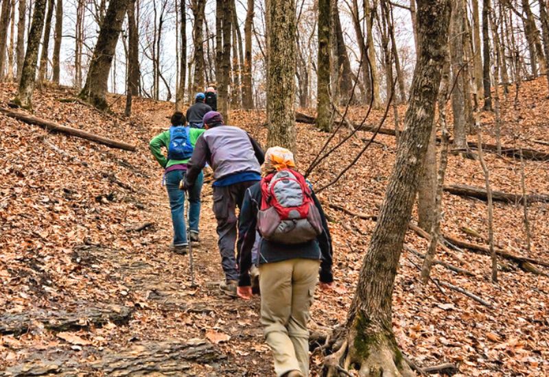 group of hikers walking on a trail in a park